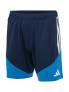 LEVSKI ЛЕВСКИ Competition Training Shorts 26
