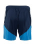 LEVSKI ЛЕВСКИ Competition Training Shorts 26