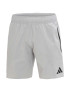 LEVSKI LEVSKI ЛЕВСКИ TT SHORTS