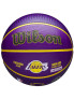 WILSON NBA PLAYER ICON OUTDOOR LEBRON Basketball