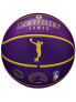 WILSON NBA PLAYER ICON OUTDOOR LEBRON Basketball