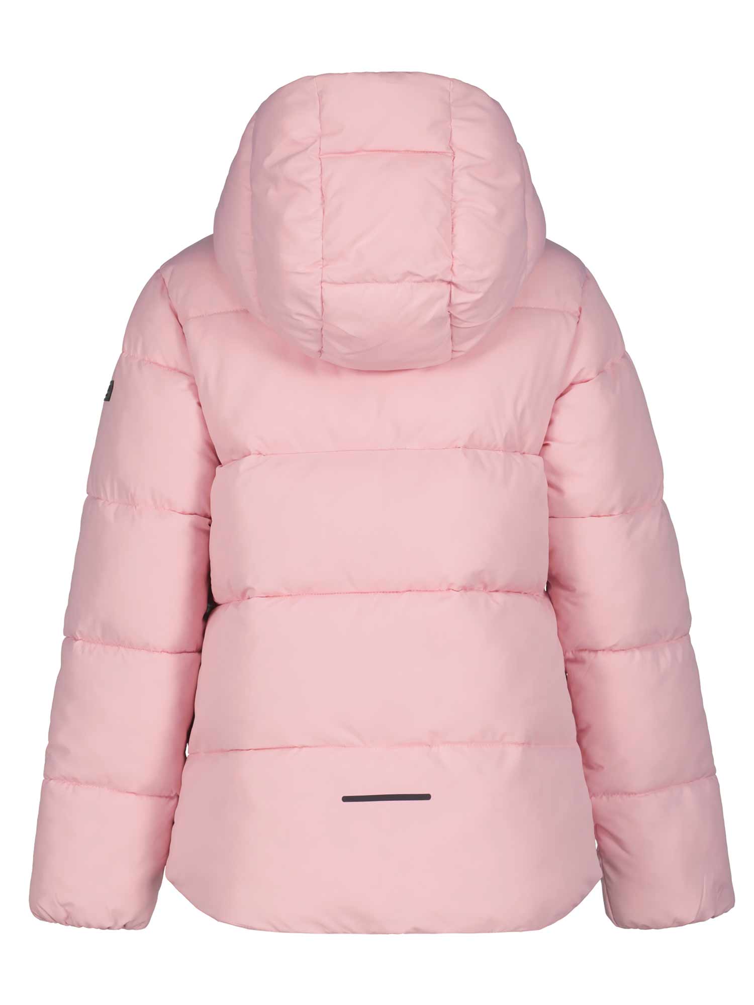 ICEPEAK