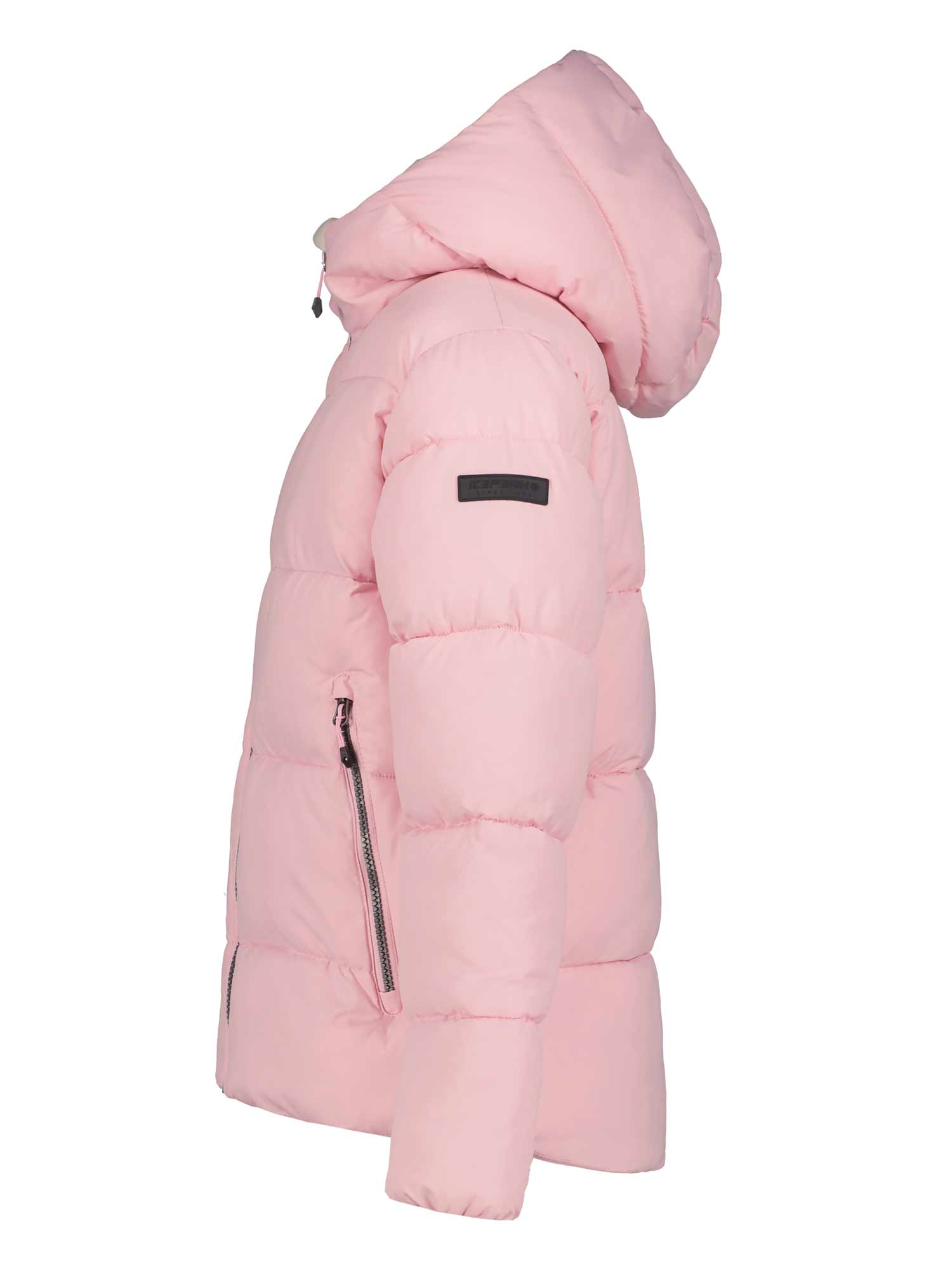 ICEPEAK