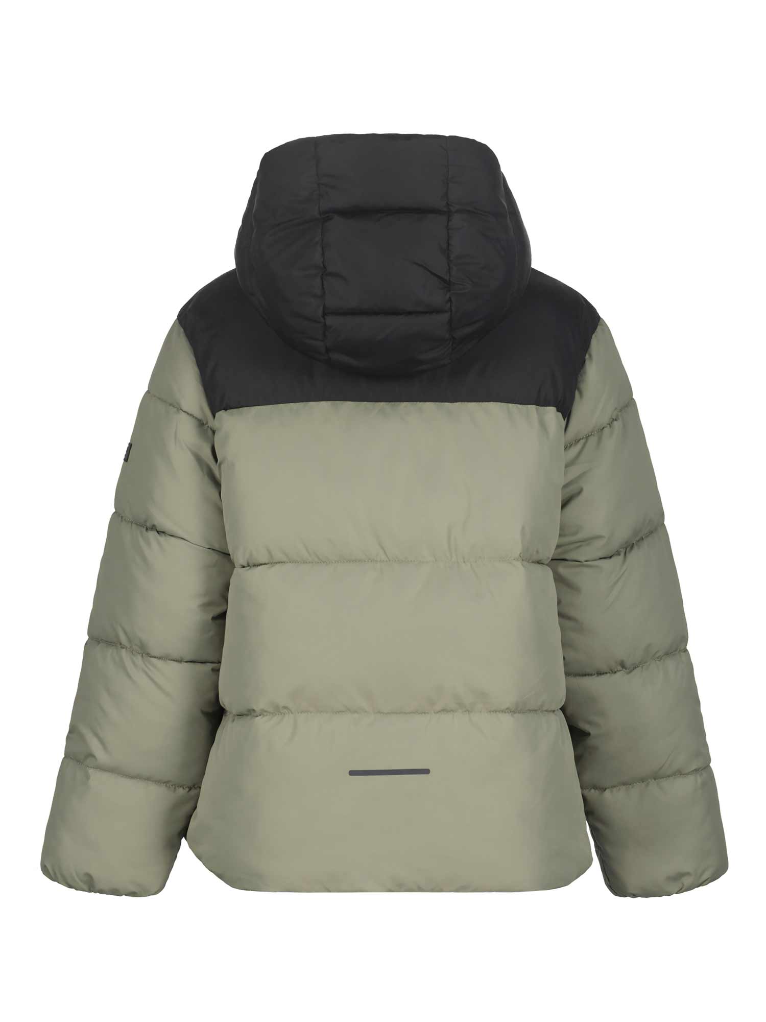 ICEPEAK
