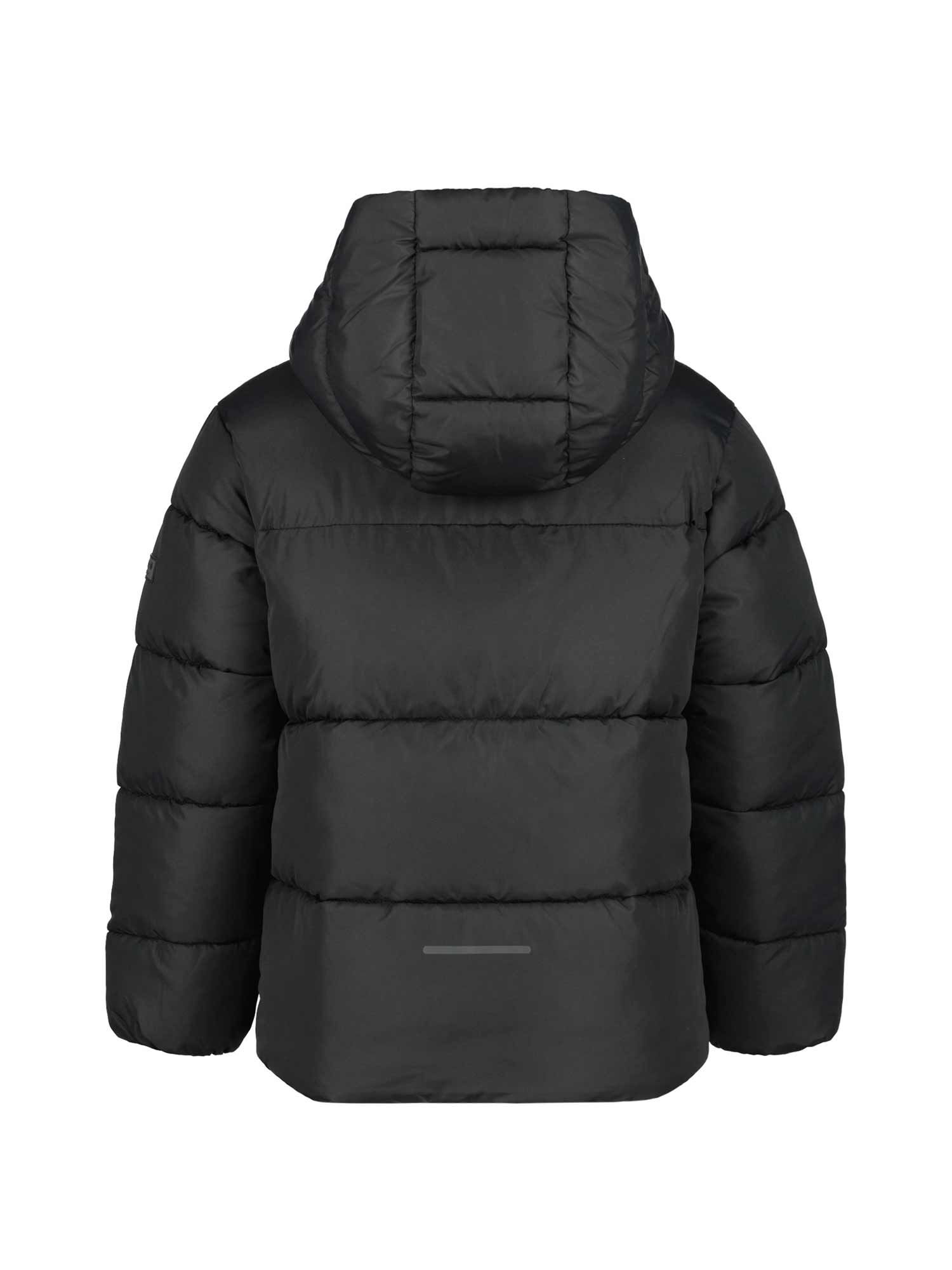 ICEPEAK