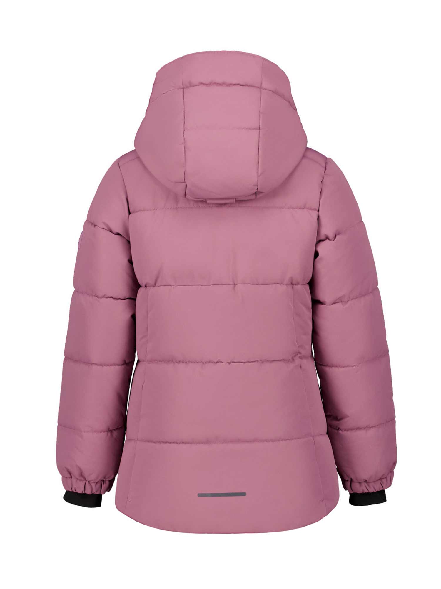 ICEPEAK