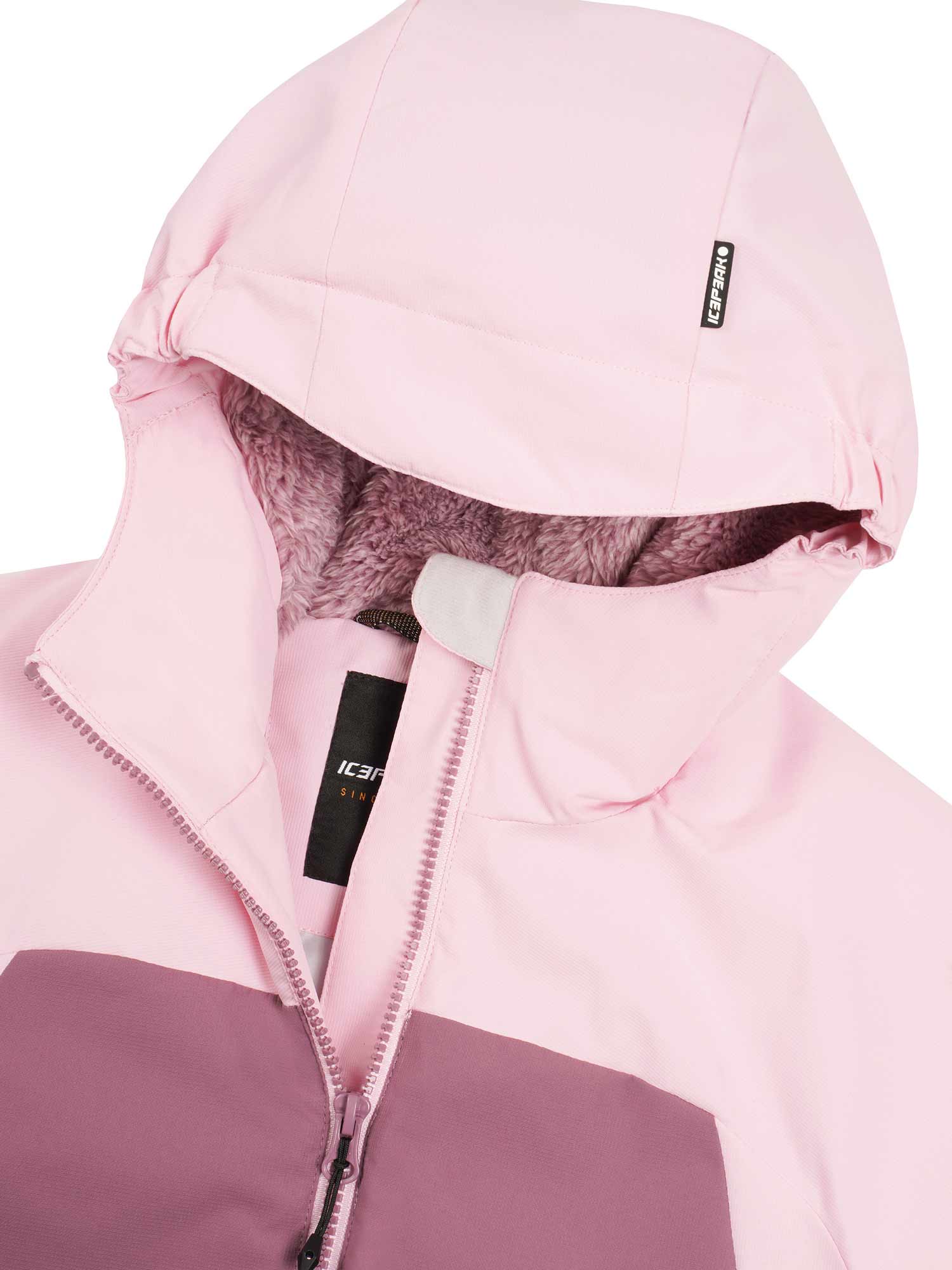 ICEPEAK