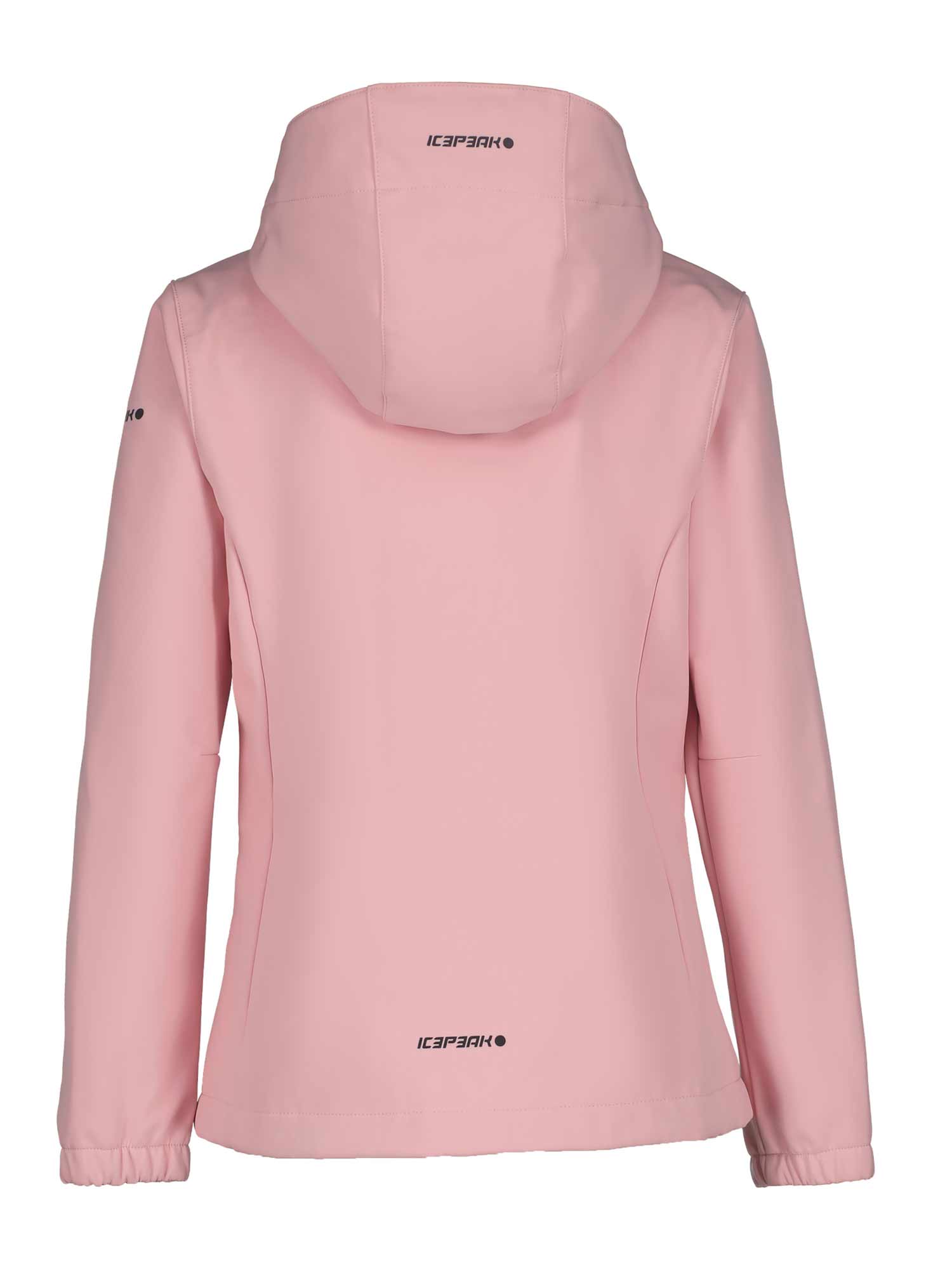 ICEPEAK