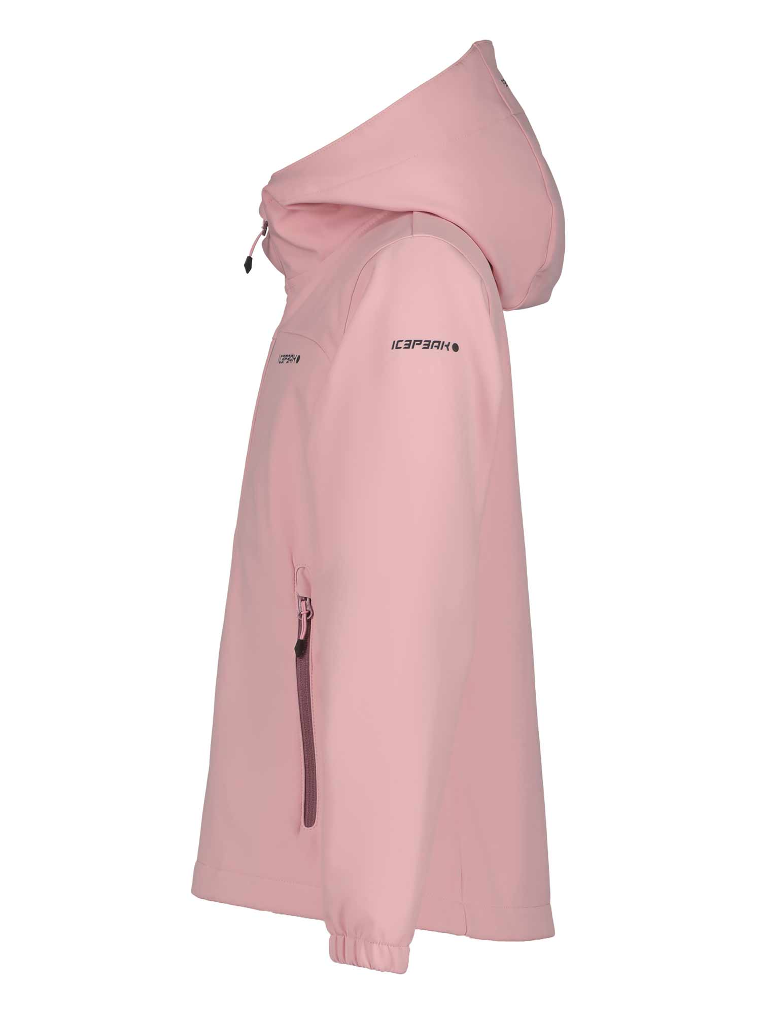 ICEPEAK