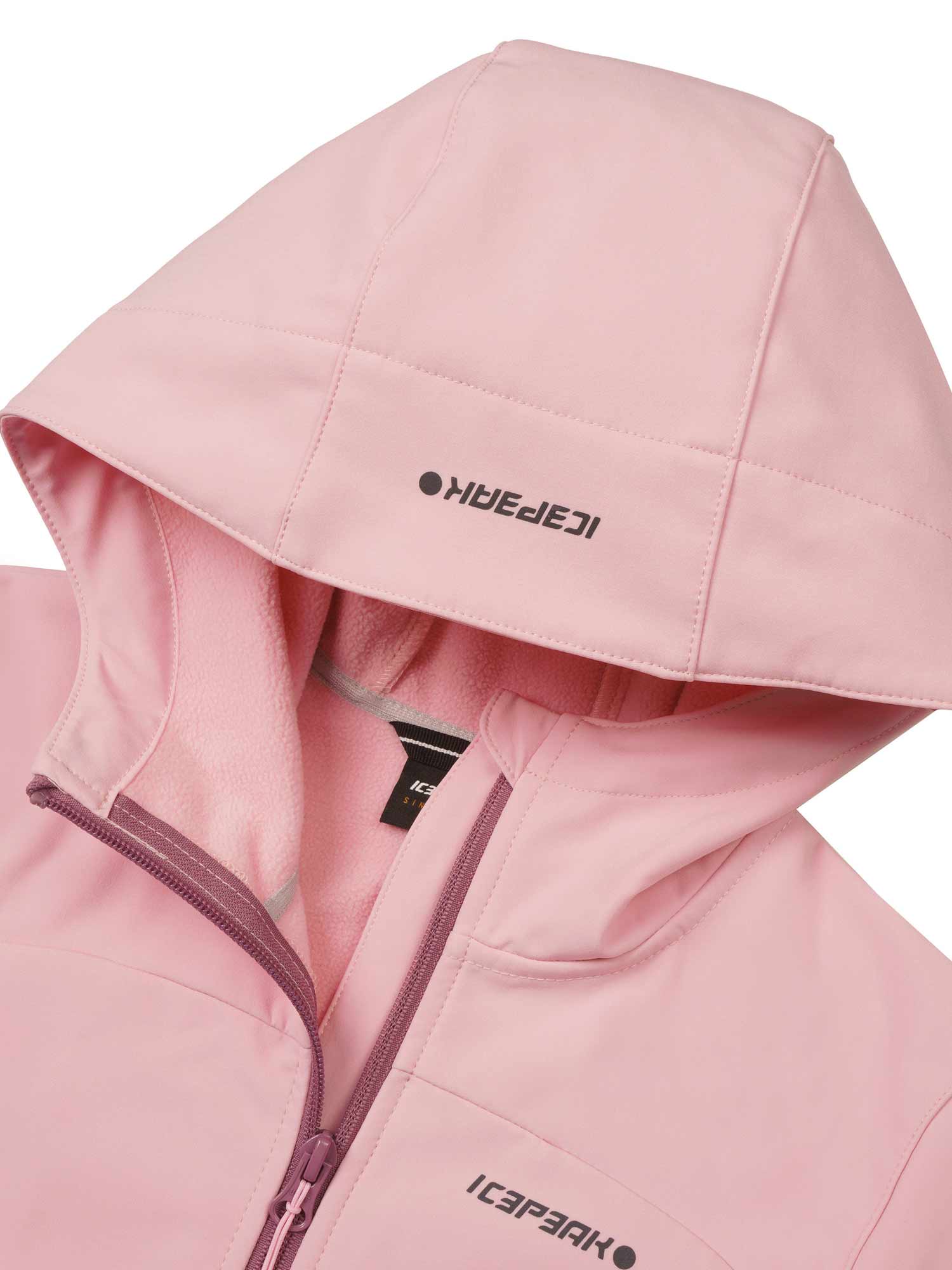 ICEPEAK