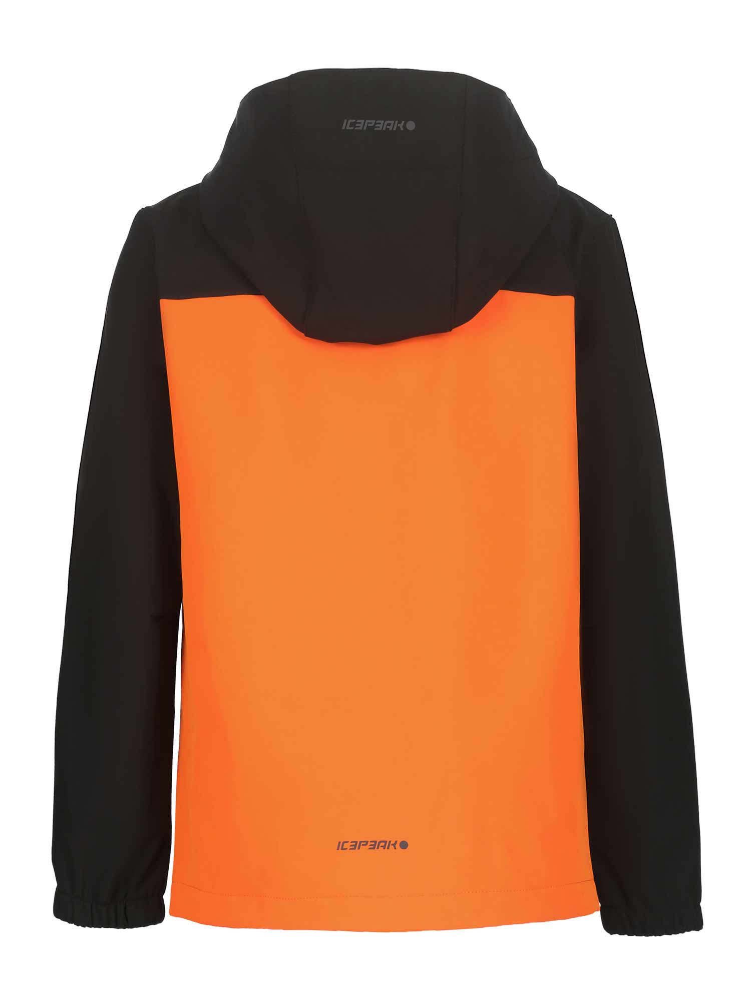 ICEPEAK