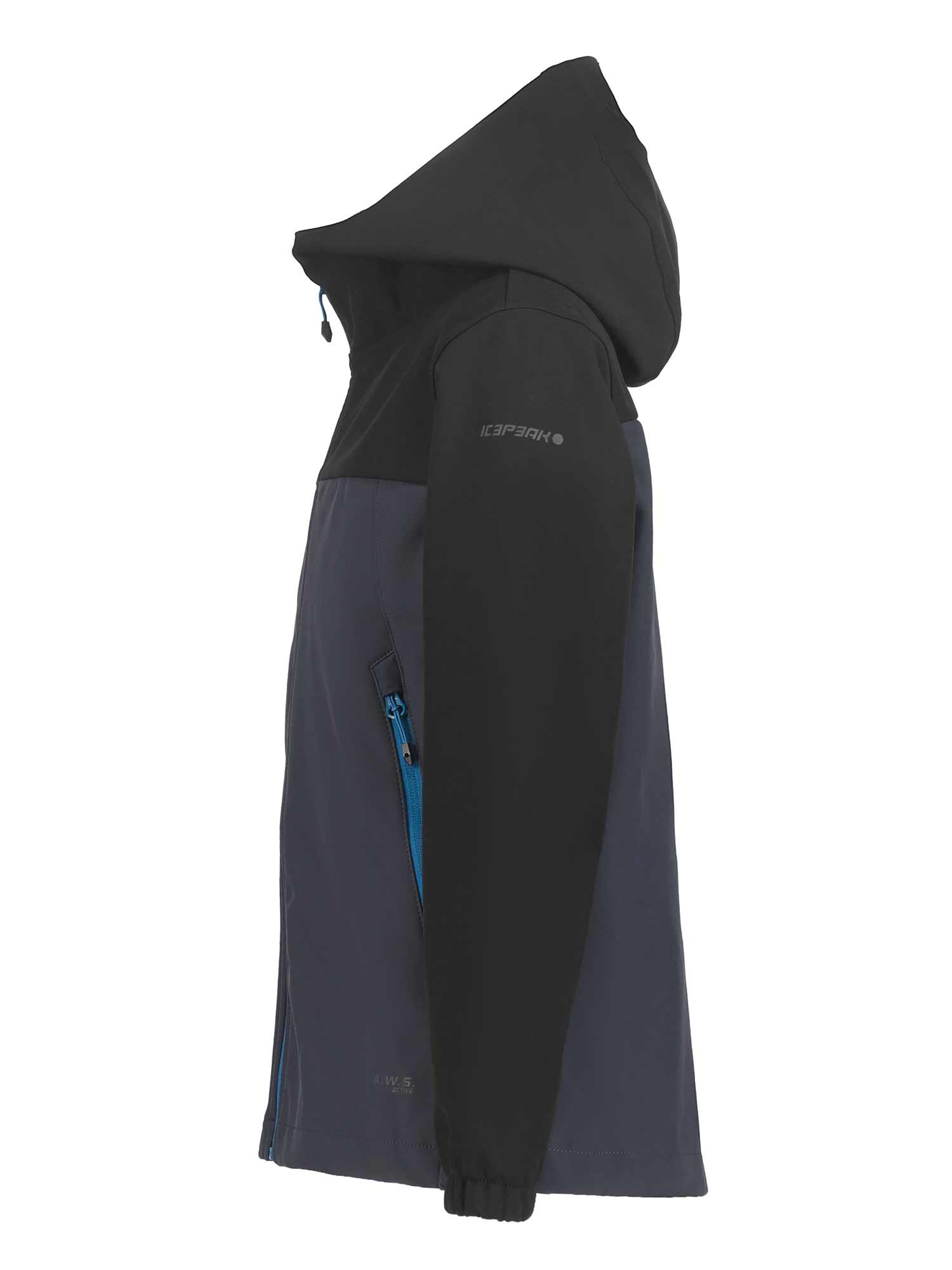 ICEPEAK