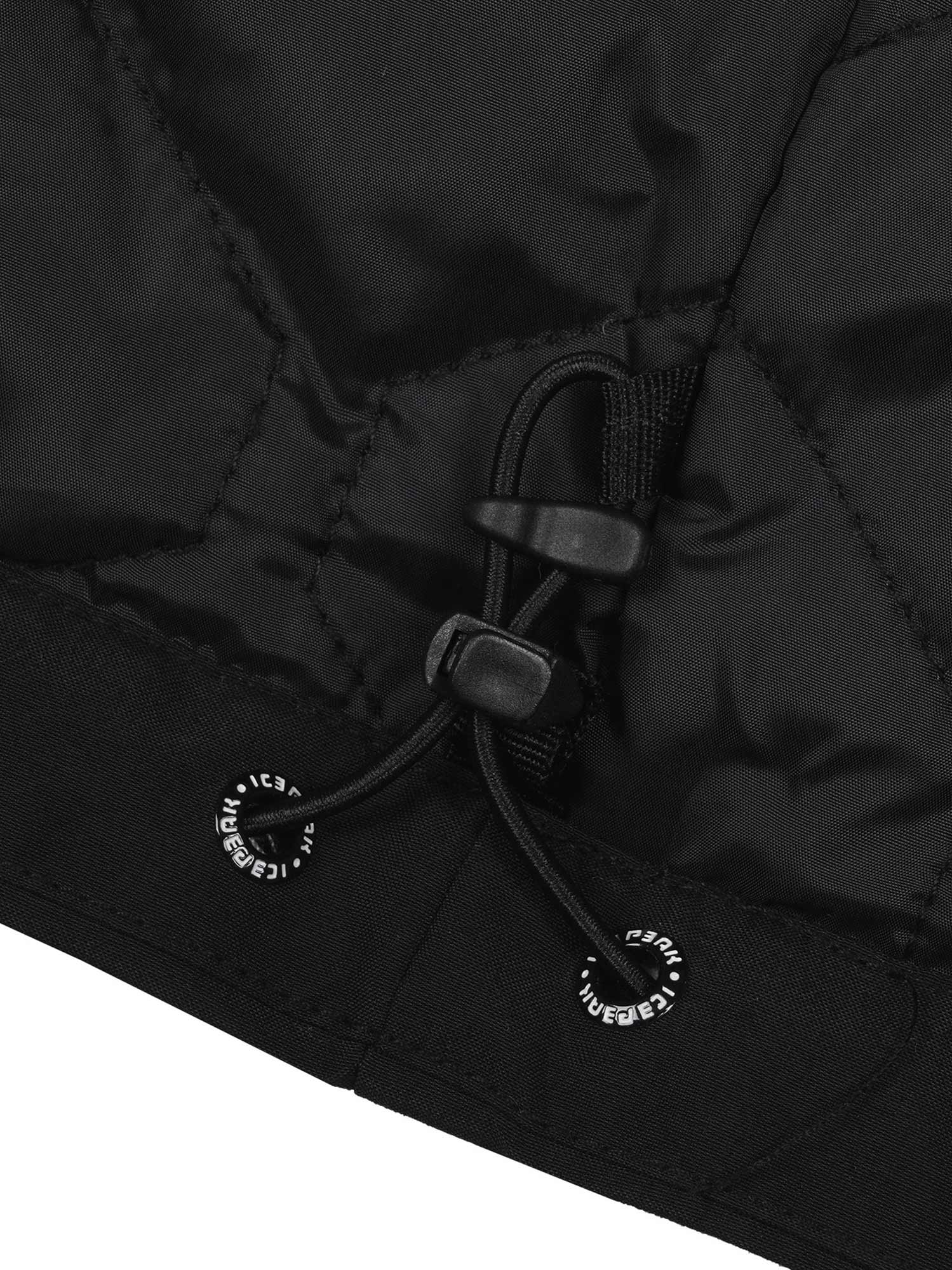 ICEPEAK Яке ALSTON