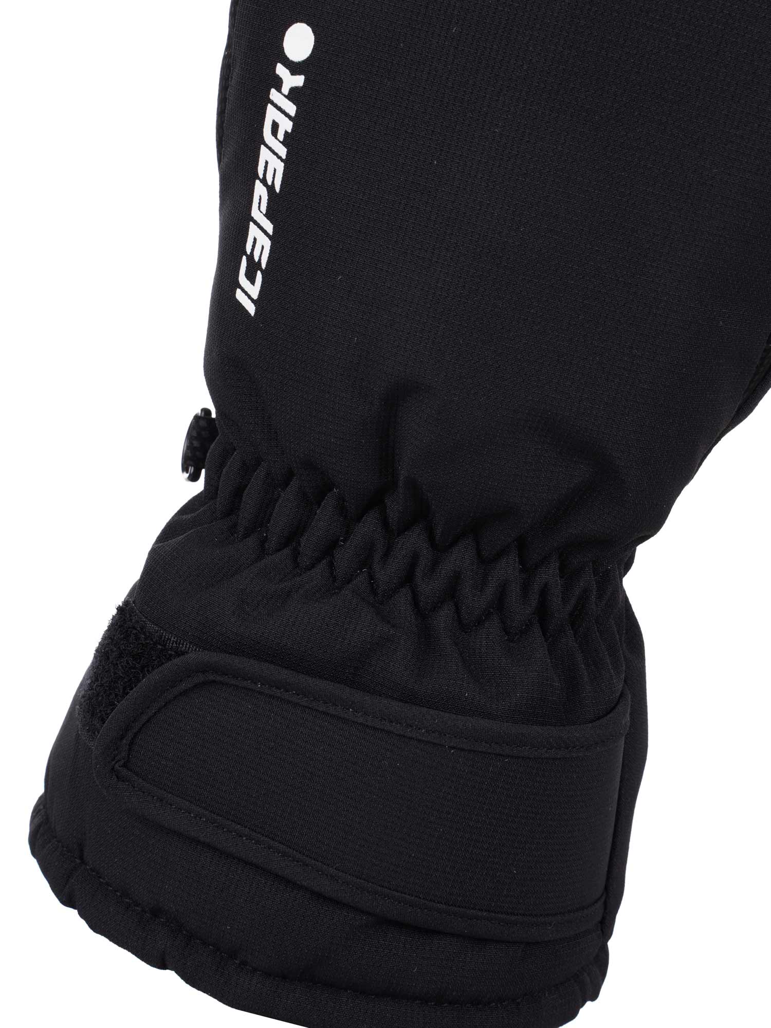 ICEPEAK