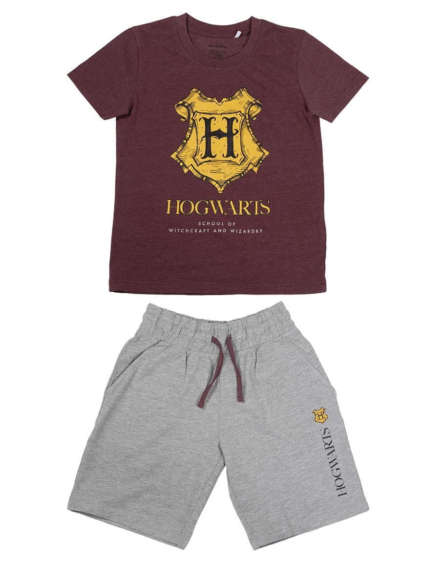 Set doua piese Harry Potter