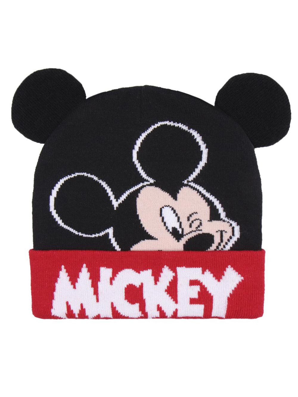 Fes iarna Mickey