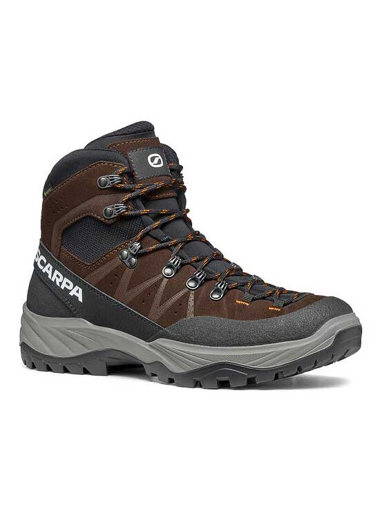 Incaltaminte Boreas Gtx