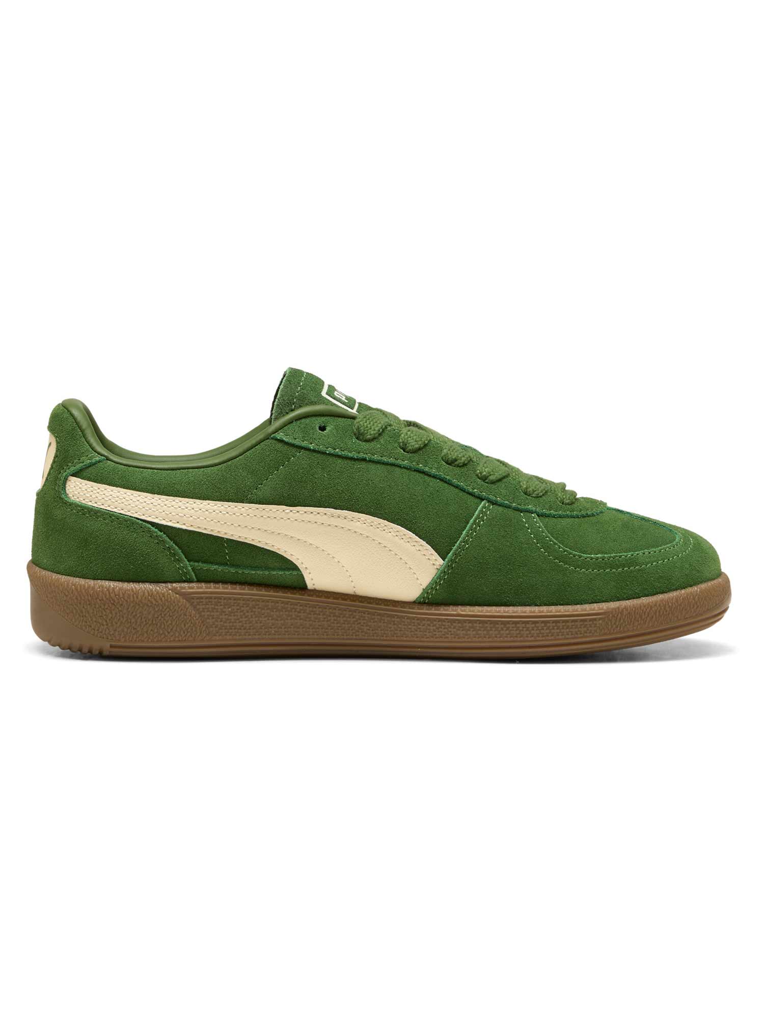 PUMA