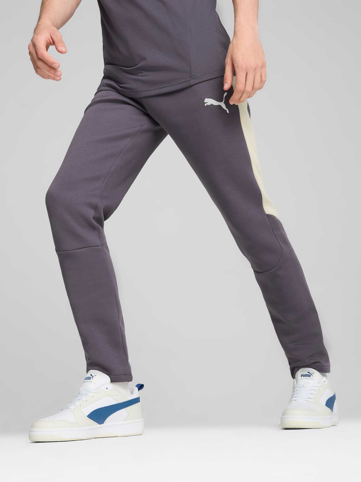 Pantaloni sport Evostripe Dk