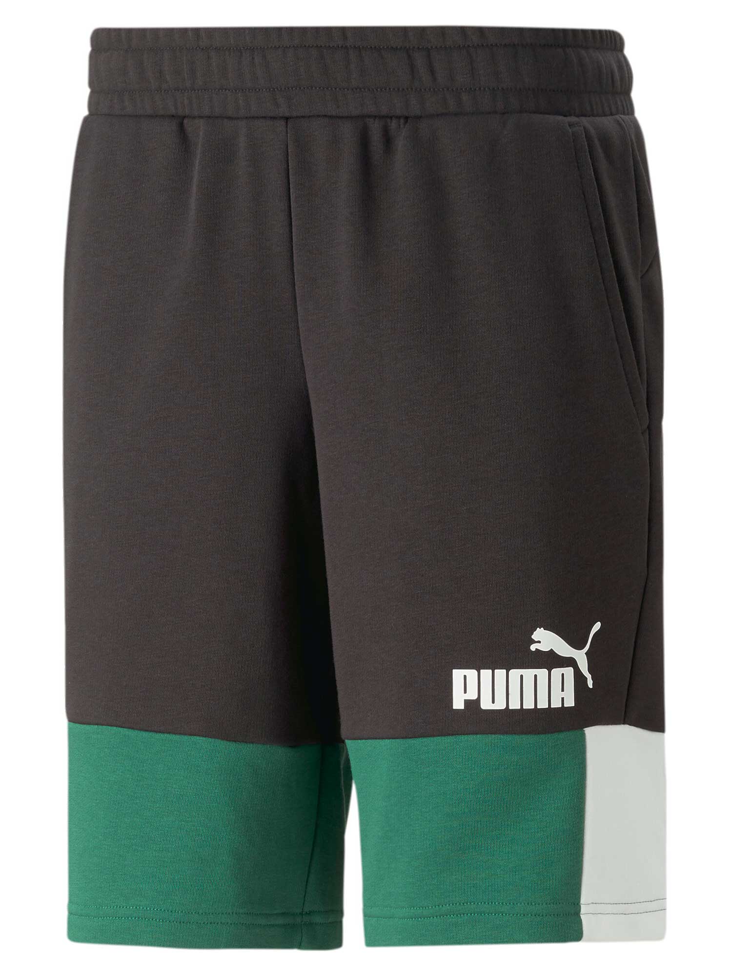 Pantaloni scurti Ess+ Block 10 Tr