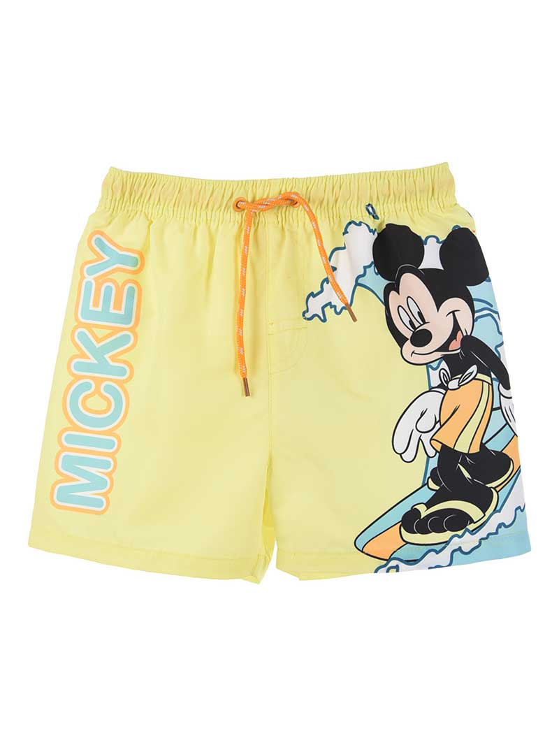 Sort inot Mickey