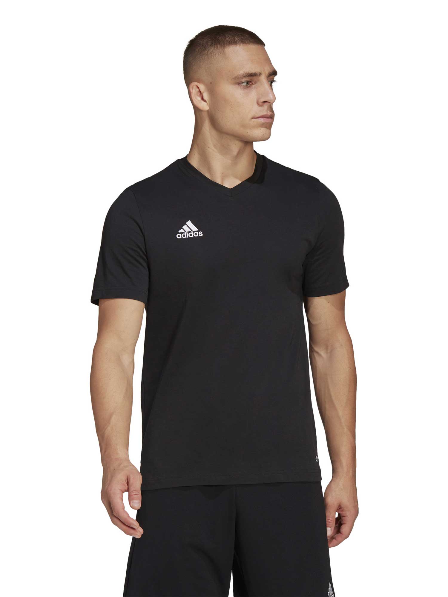 Tricou Entrada 22