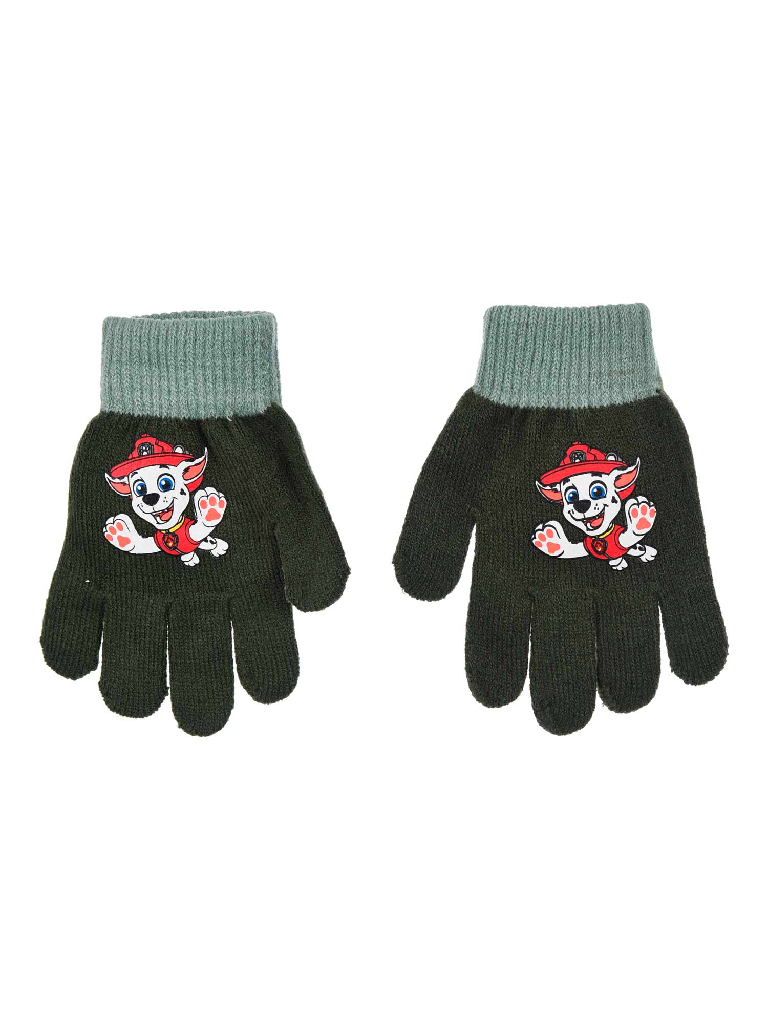 Manusi Paw Patrol