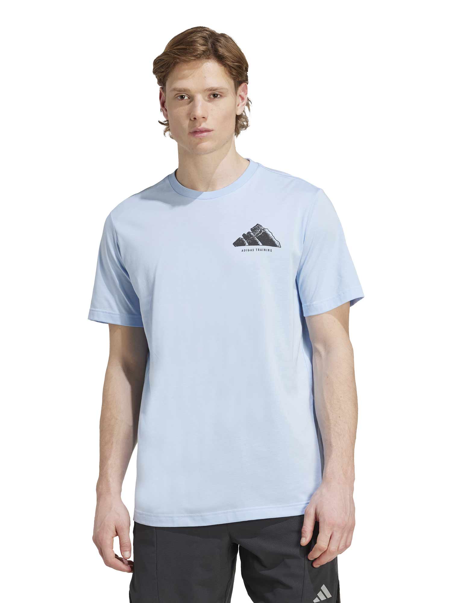 Tricou Climacool Vintage Training Graphic