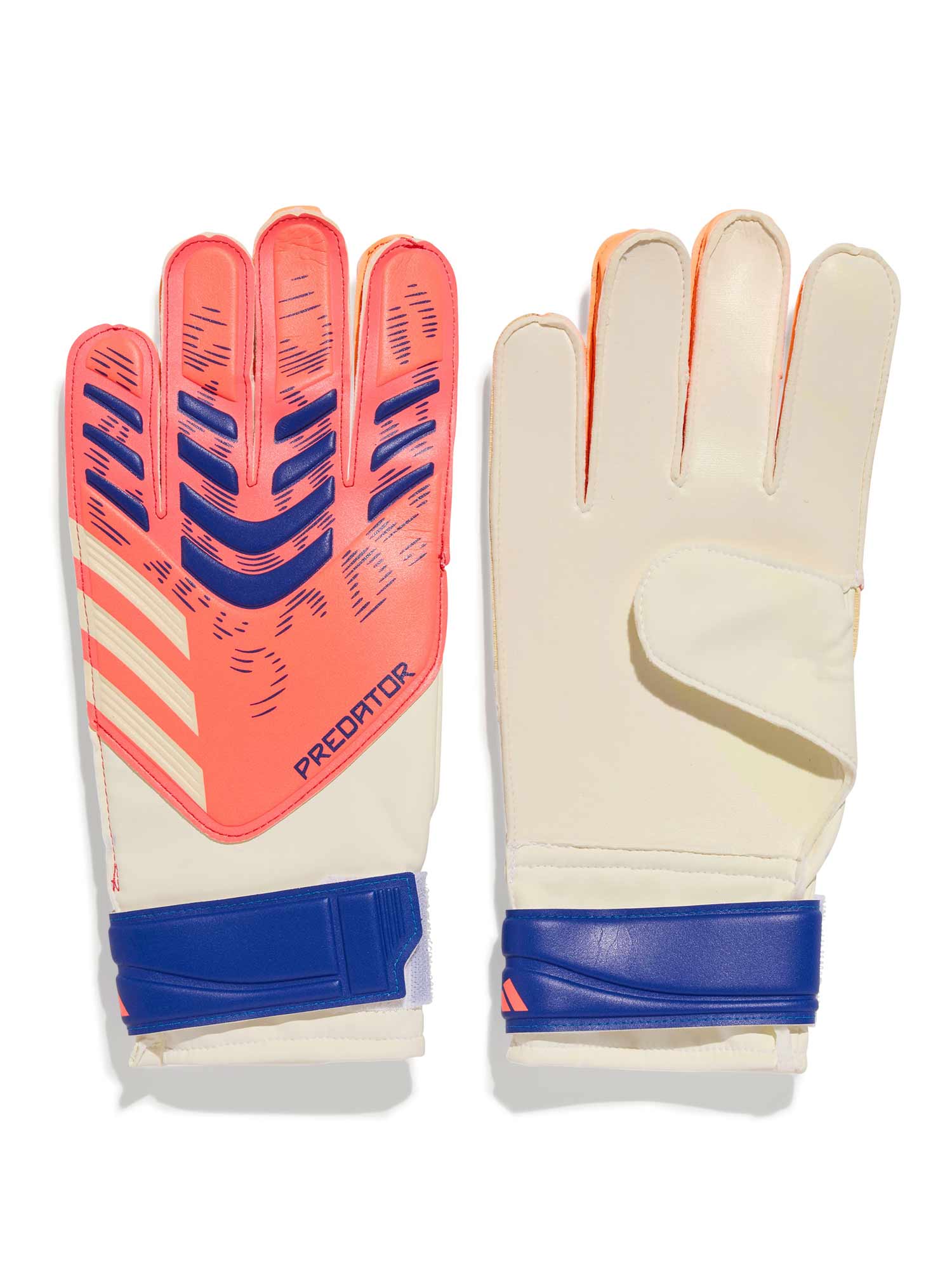 Manusi portar Predator Training