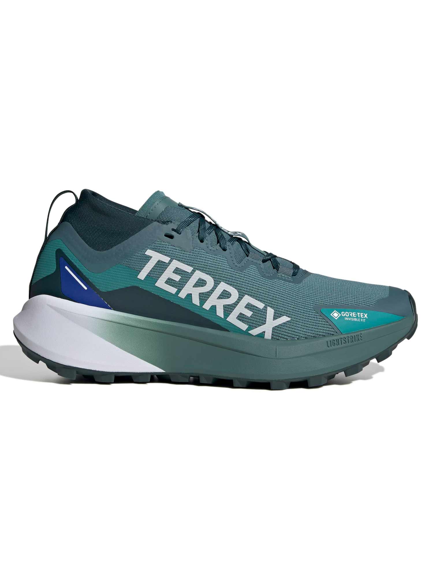Incaltaminte Terrex Agravic Gtx Trail Running