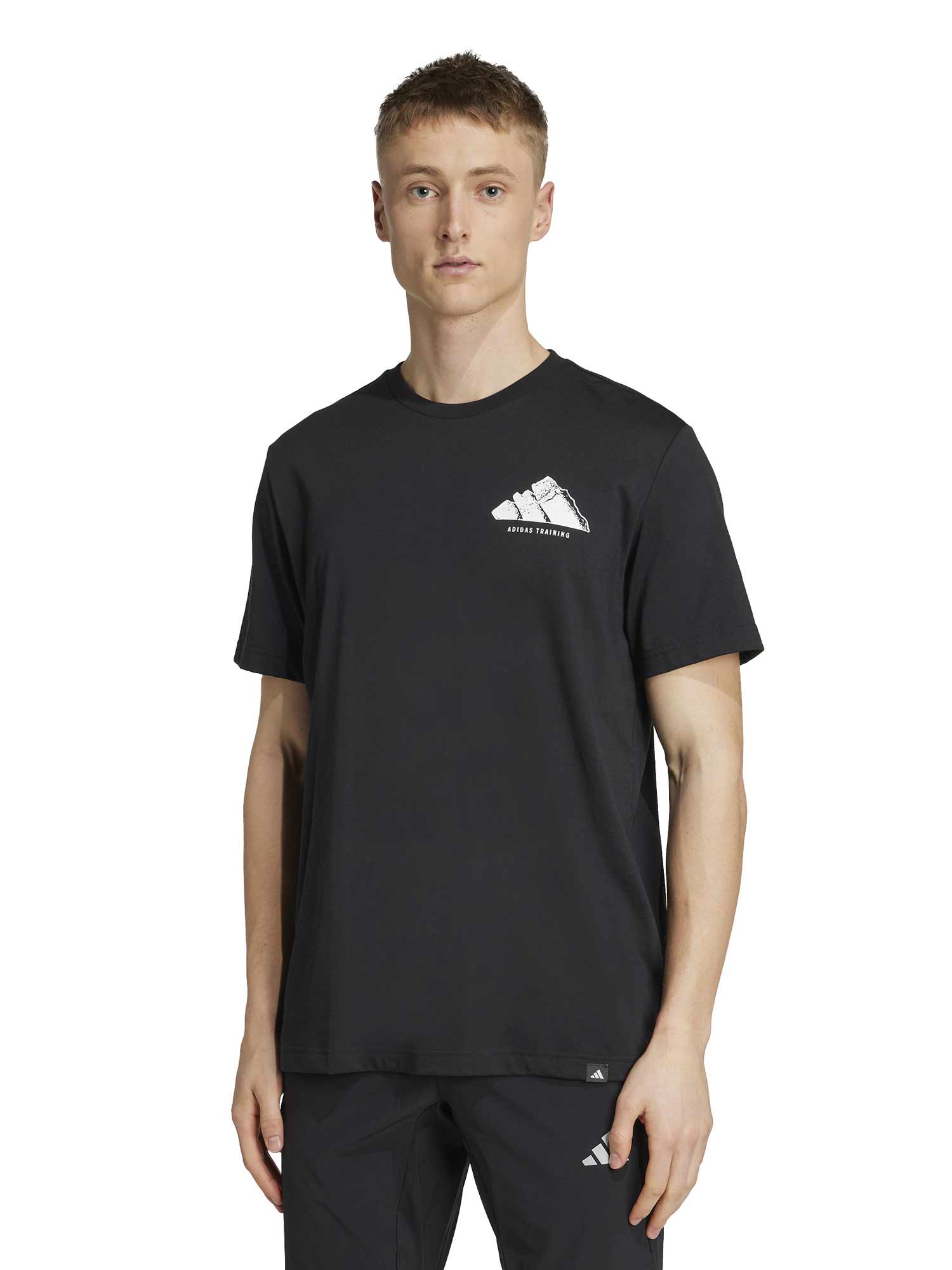 Tricou Climacool Vintage Training Graphic