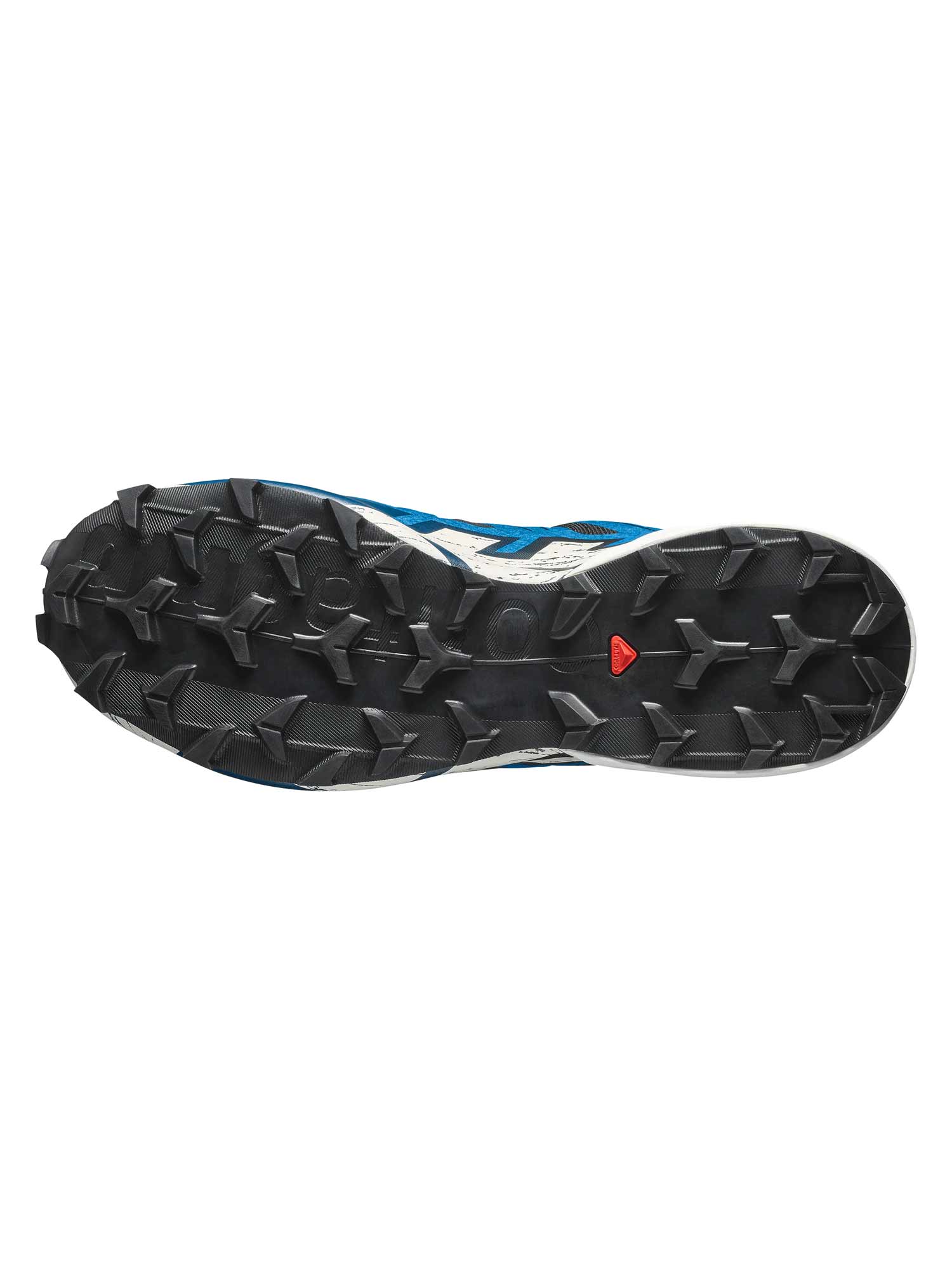 SALOMON Обувки SPEEDCROSS 6 GTX