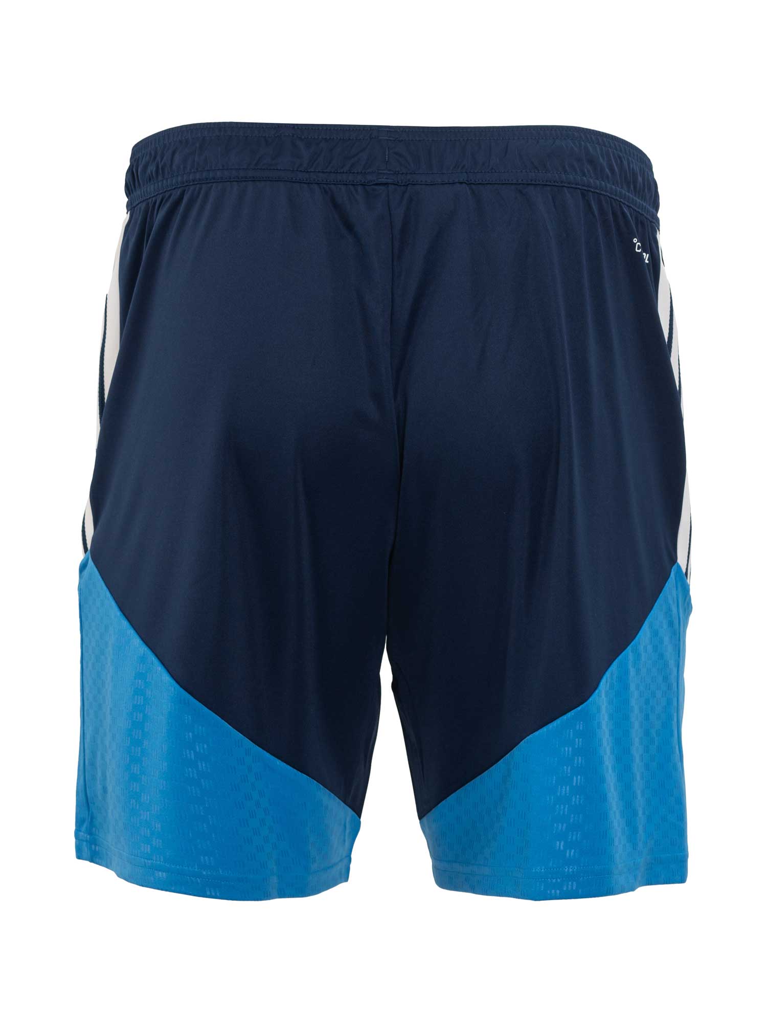LEVSKI ЛЕВСКИ Competition Training Shorts 26