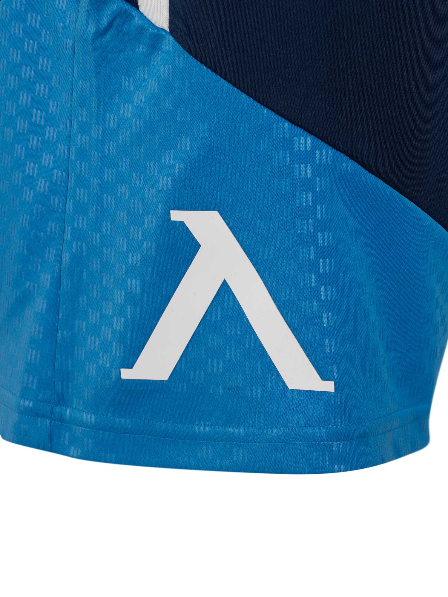 LEVSKI ЛЕВСКИ Competition Training Shorts 26