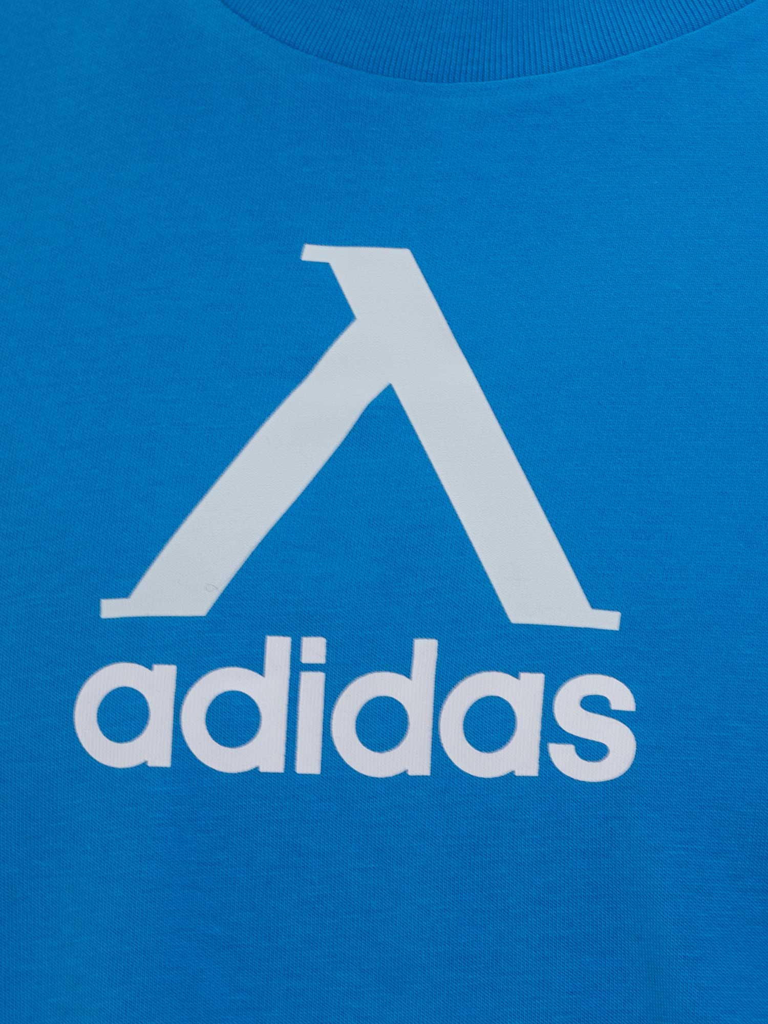 LEVSKI ЛЕВСКИ Free Time Jersey