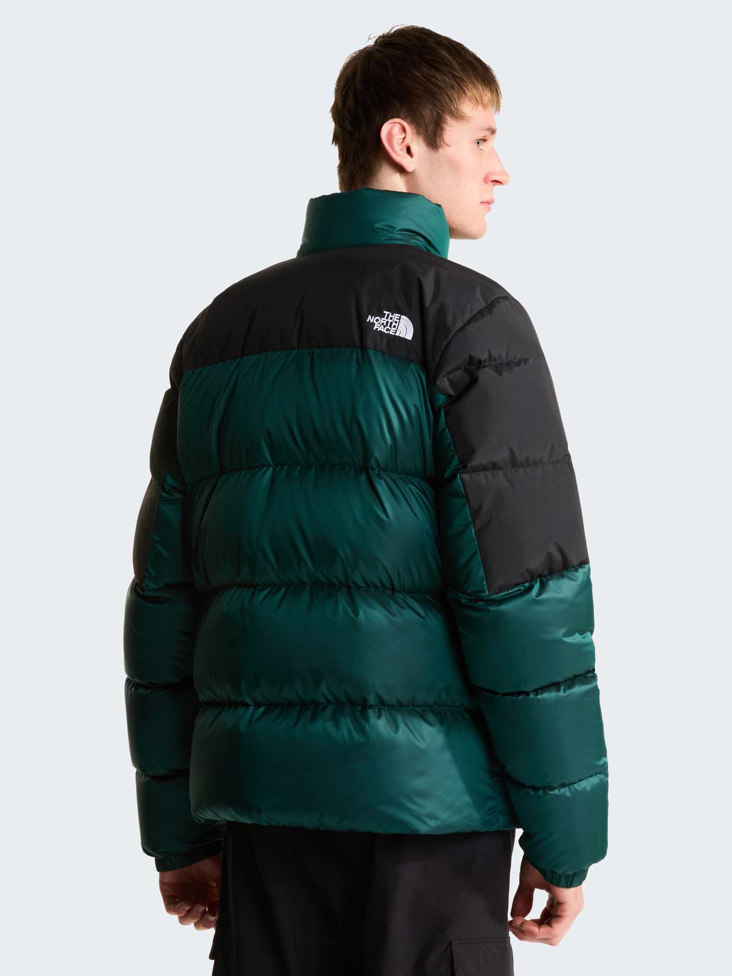 THE NORTH FACE