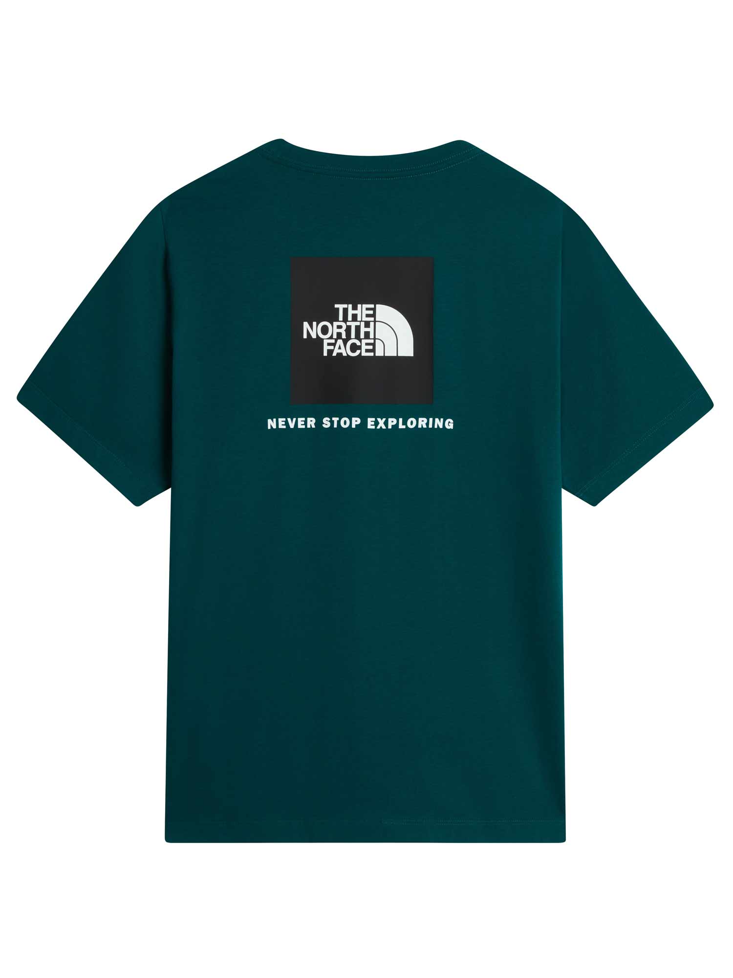 THE NORTH FACE