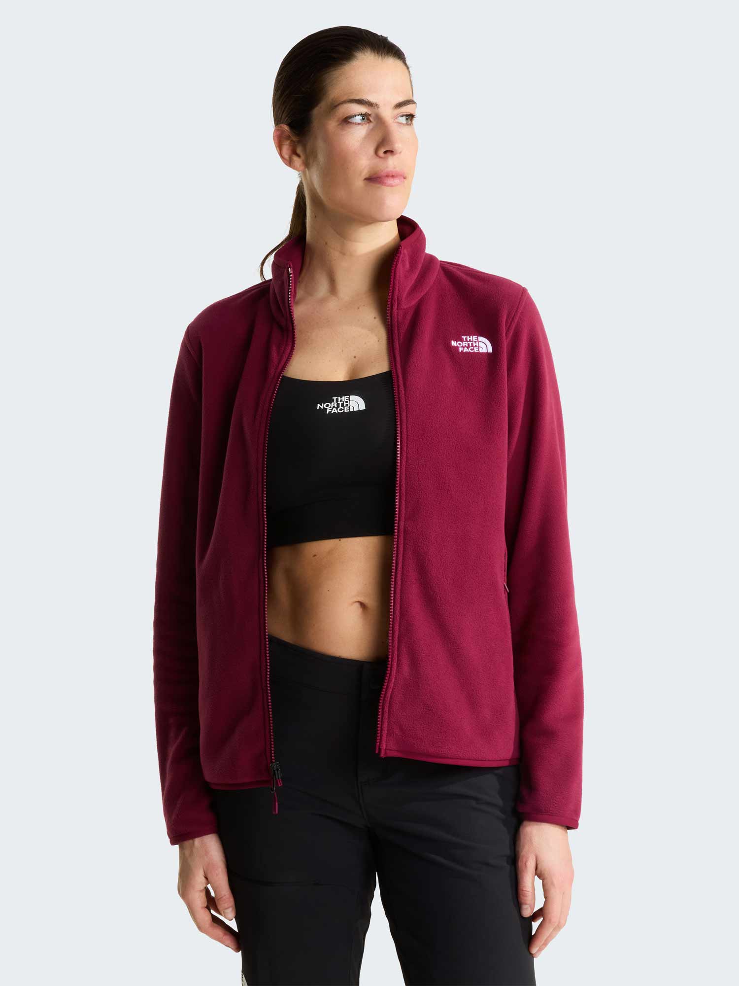 THE NORTH FACE