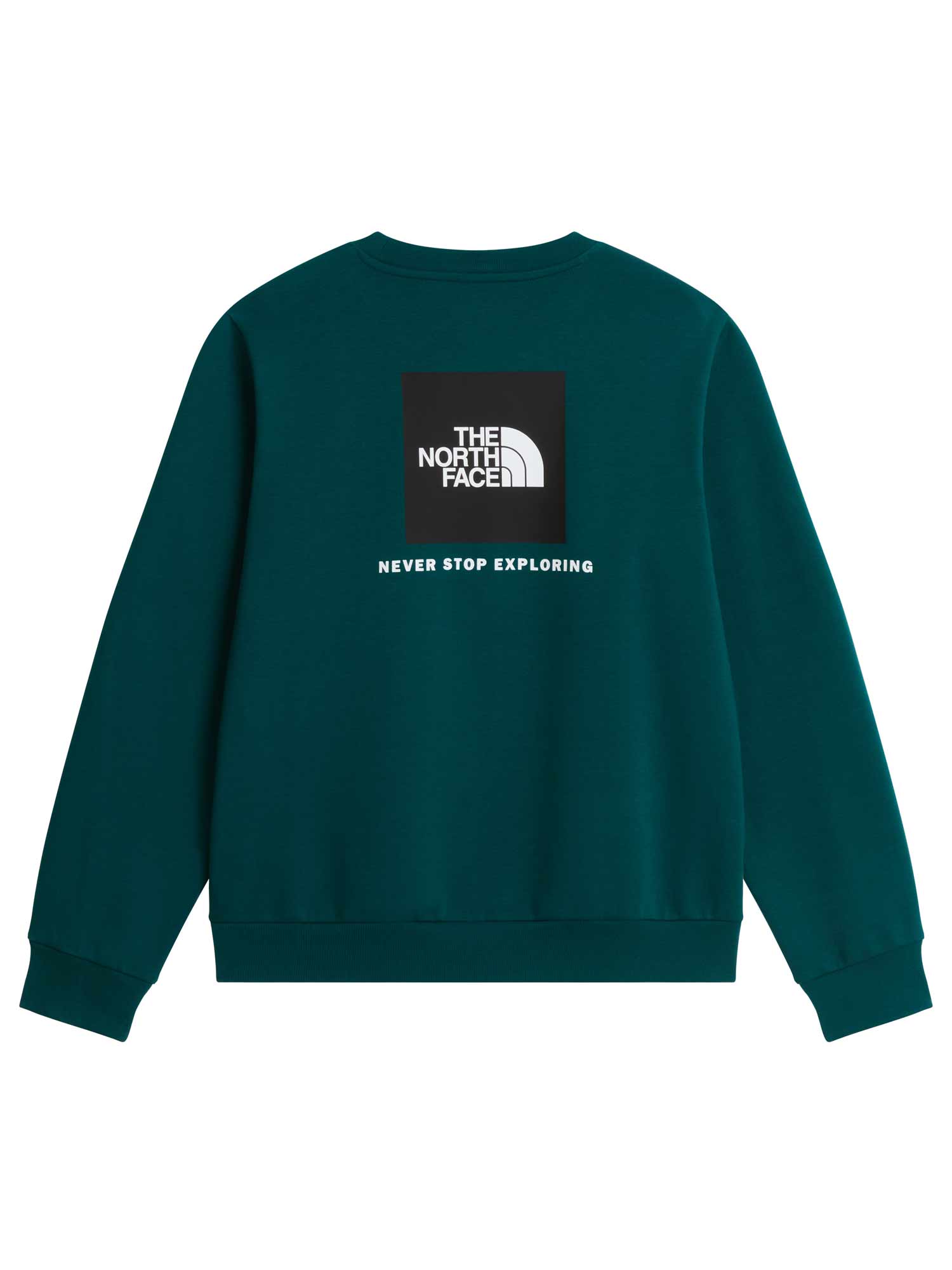 THE NORTH FACE