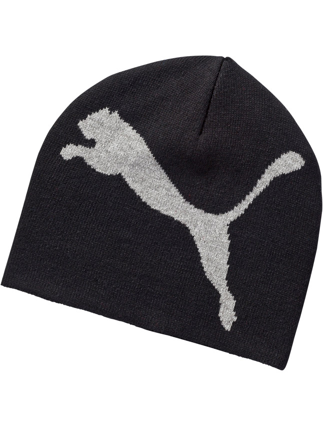 Fes ESS Big Cat Beanie