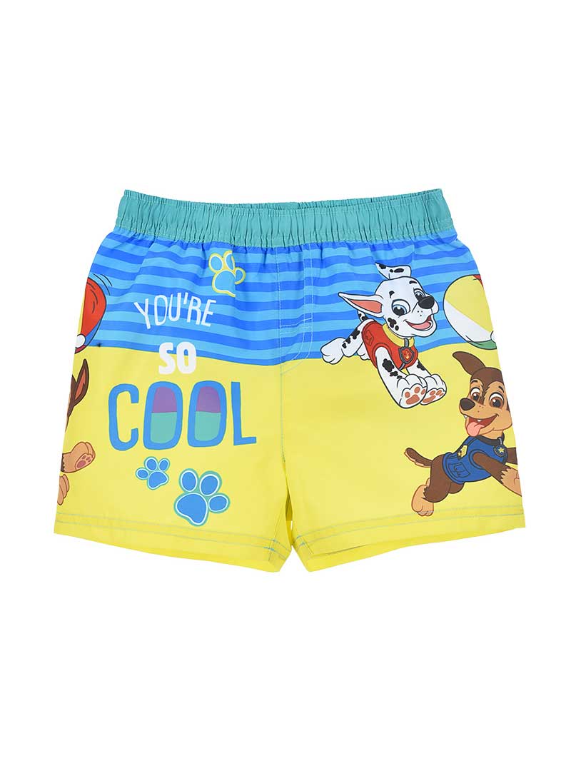 Sort inot Paw Patrol