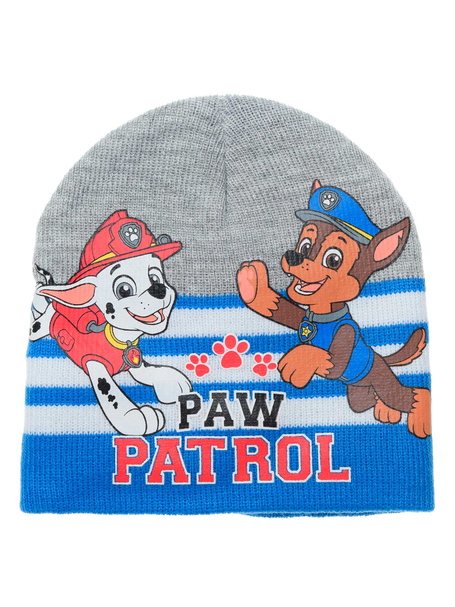 Fes Paw Patrol