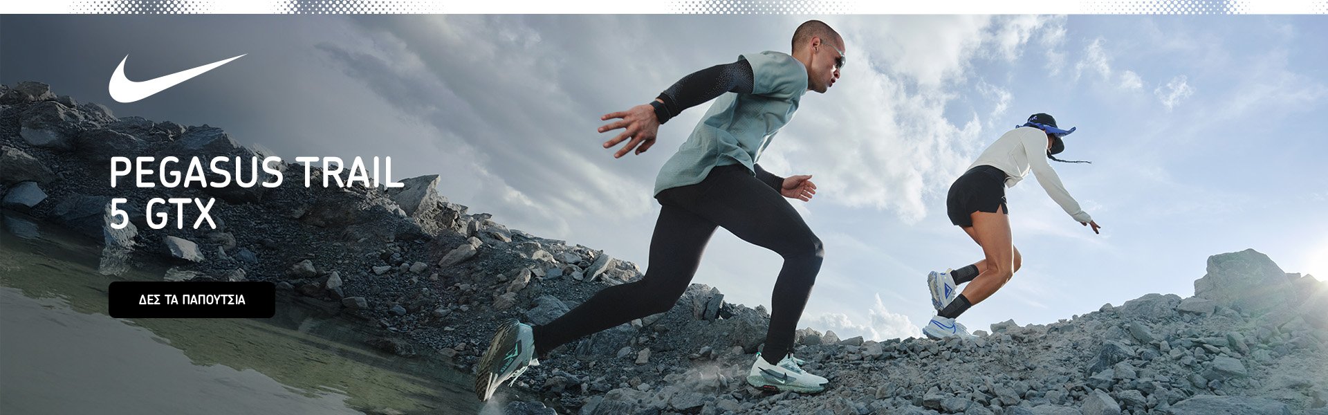 Nike Pegasus Trail GTX