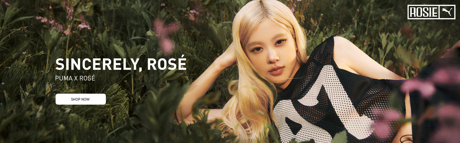Puma x Rose