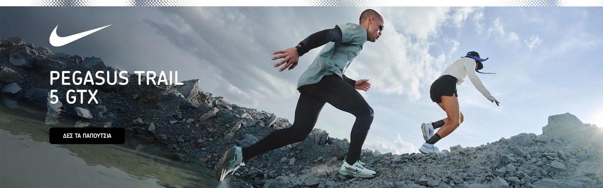 Nike Pegasus Trail GTX