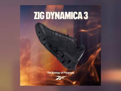 Zig Dynamica 3: Визия и комфорт за бягане и за динамични дни