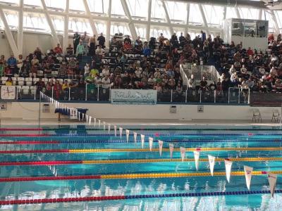 Над 500 плувци се включиха в международния турнир “Бриз”